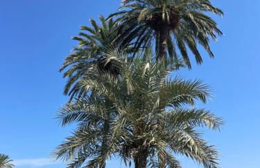 Sun and Sea Modern Studio El Palo 1 min to Beach - Foto 39