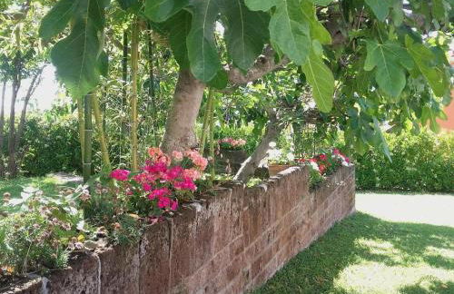 Pier Delle Vigne B&B - Foto 70