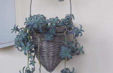 LUXURIOUS APPARTMENTS KATERINA - Foto 14