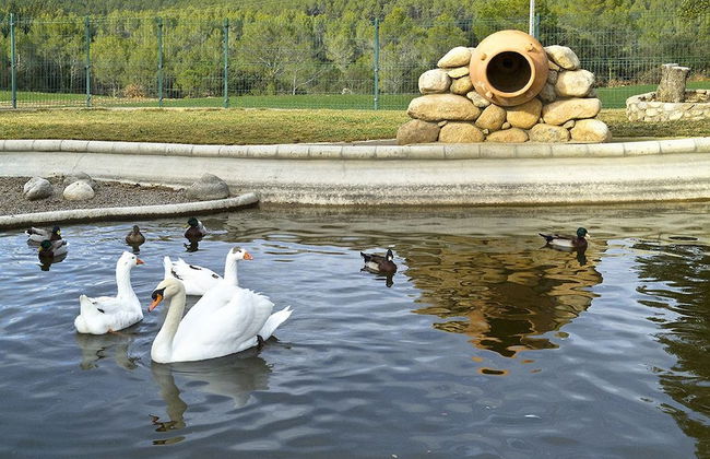 Apartament la Font - Mas el Brugue - Foto 15