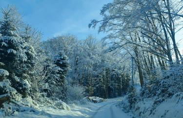 home edwige - Foto 19