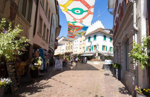 Löwe Apartment Gold Tiengen Altstadt - Foto 20