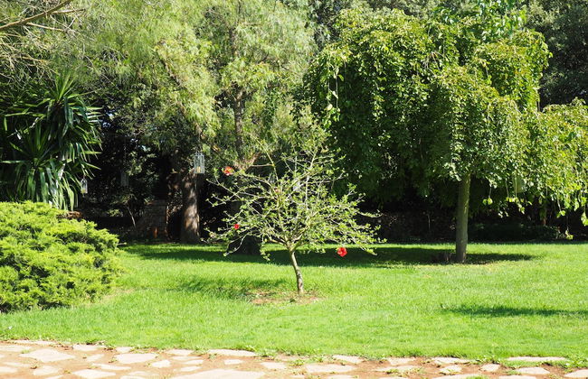 Son Mercadal - Foto 20