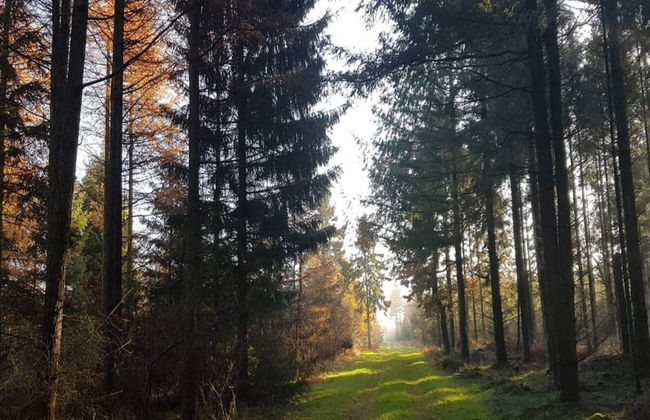 4 Person Holiday Home in Skaerbaek-by Traum - Foto 18