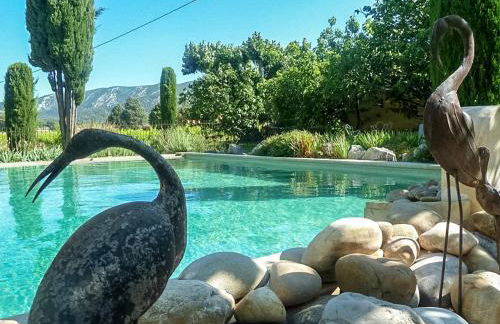 Maison charmante à Oppède avec piscine partagée - Foto 3