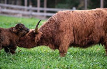 Tubla - Hof Maistatt - Foto 53