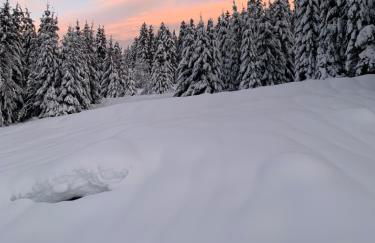 Le Perchoir du Grand Valtin - Gîte 5 personnes - Altitude 830 - Foto 31