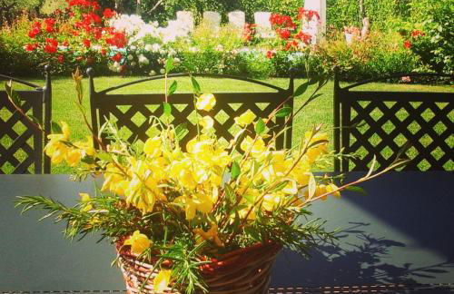 Villa Antica Sosta Renai - Foto 10