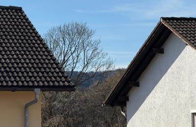 FeWo Mangfall - Foto 17