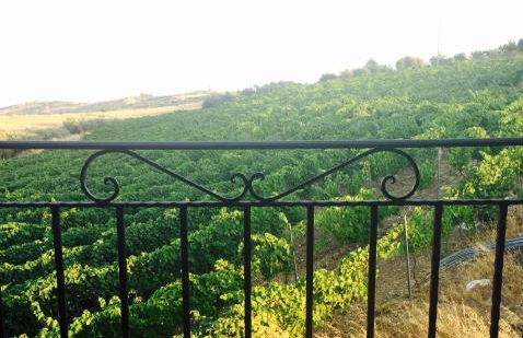 Agriturismo La Casa di Bacco - Foto 71