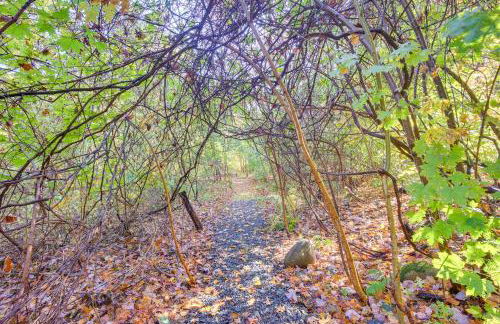 Riverfront Apt with Fire Pit and Yard in Millers Falls - Foto 28