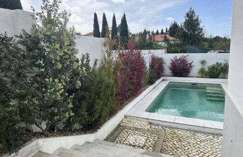 Sunshine Guesthouses in Azeitao and Algarve - Foto 34