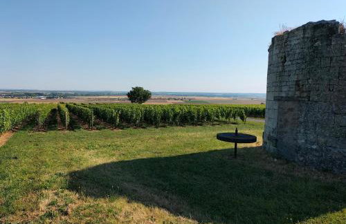 Domaine de BELLEVUE - Foto 22