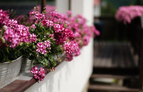 Dom Malowany - Domki - Foto 44