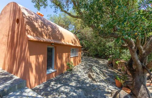 Casa Pájaro Colores in Bolonia - Foto 51