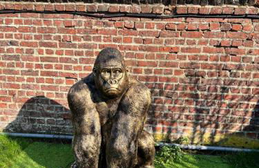 Gîte avec piscine - Foto 52