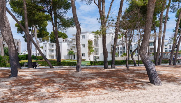 Ferrer Lime Playa de Alcudia - Foto 2