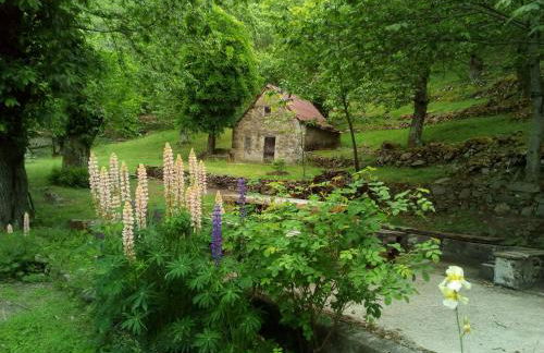 Casa Vacanze Le Muse Sillico - Foto 28