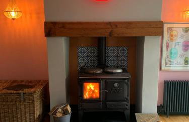 Ty Pandy Eclectic Luxury Family cottage Sleeps 8 adults and 2 children - Photo 75