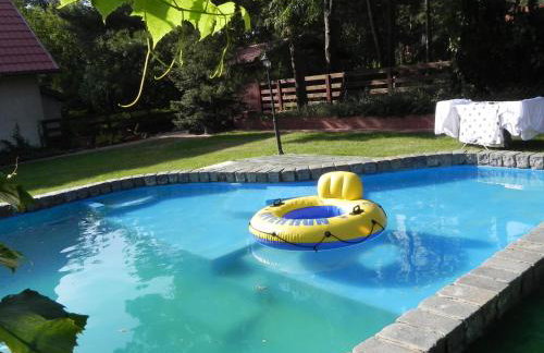 DOM 4 POKOJE Z BASENEM BLISKO WARSZAWY - Foto 1