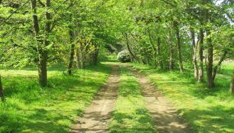 Les crèches de Boiséon - Photo 4, Garden