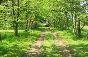 Les crèches de Boiséon - Foto 4