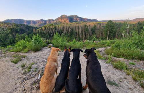 FeWo Herzenstölen - Foto 21