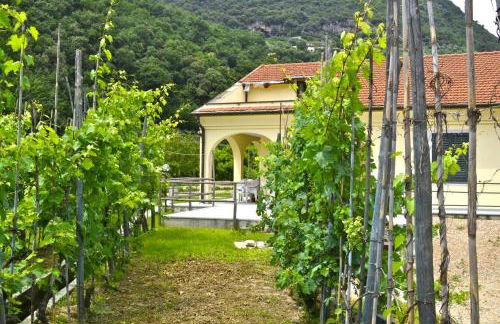Charming Ligurian Riviera House - Foto 21