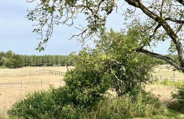 Maison Moz - Foto 27