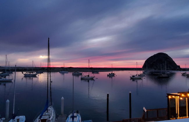 Gray's Inn & Gallery - Foto 33