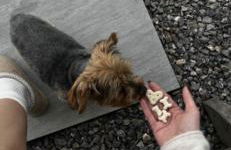 The Winford Retreat - Foto 73