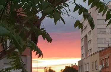 Mickey Mouse Supilova 24 - Foto 33