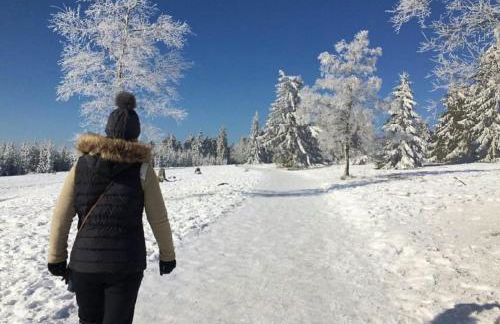 Ferienwohnungen Bergnest Winterberg - Foto 34