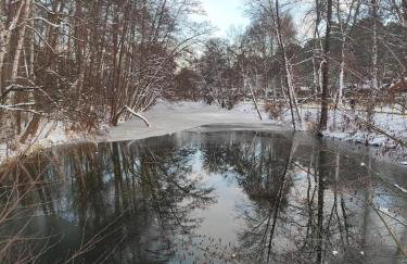 domek przy Jodłowej - Foto 7