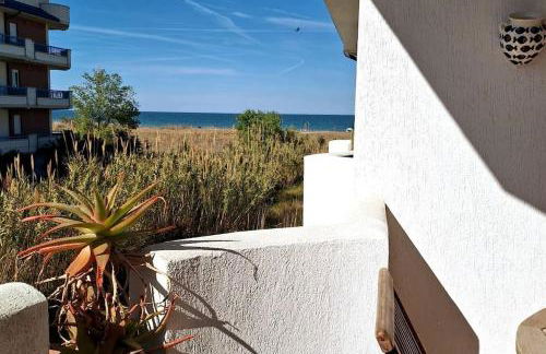 Le Dune e il Gabbiano - Foto 7