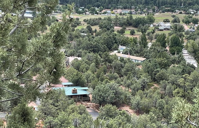 Glass House Elk Rim Pine - Photo 41