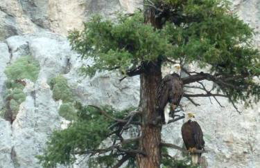 Riverside Cabin with Rare Claw-Foot Bathtub, Montana - Foto 28