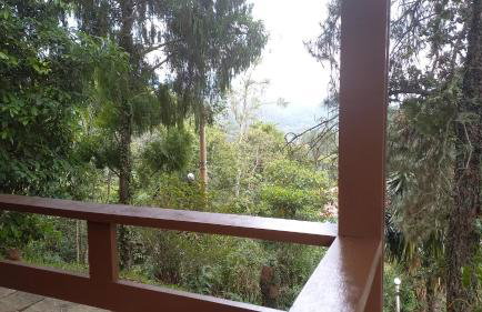 SÍTIO ALTO DA COLINA - Foto 52