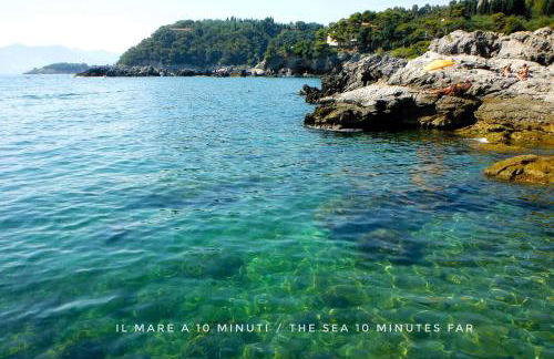 Il vecchio frantoio - Photo 25