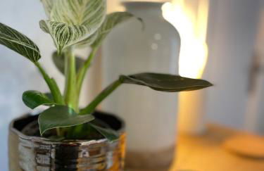 Canopée - Appartement - Hyper centre ville - Foto 7