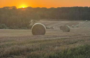Más Figueres - Foto 57