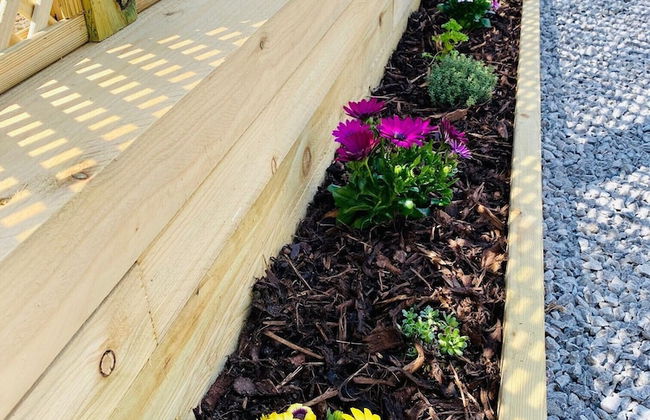 Hollicarrs - Wildflower Lodge - Foto 22