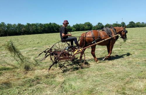 Chambre des moutons - Foto 16
