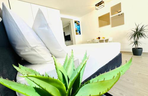 The Urbanite - Foto 8