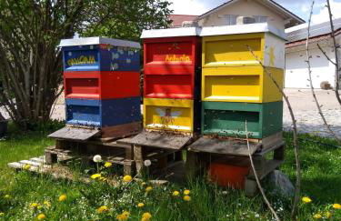 Ferienwohnung Rötzer - Foto 6