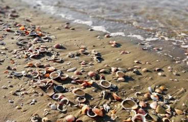 AzzurRomare Flat apartment - Foto 1