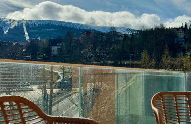 Panorama Karkonoszy - Apartamenty KOMFORT z widokiem na Śnieżkę i Aquapark - Photo 28