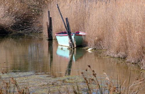 gite de l'ille, avec terrasse et parking privé - Foto 14