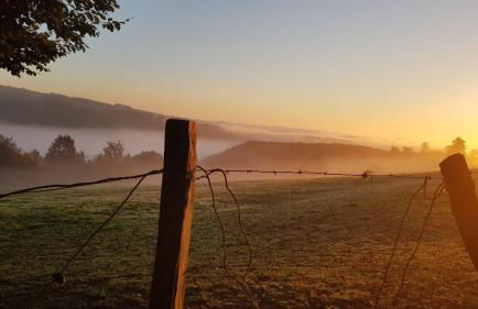 Sonnenschein am Rursee - Foto 30