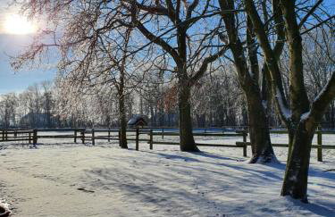 Ferienhof-Stoertebeker - Foto 11